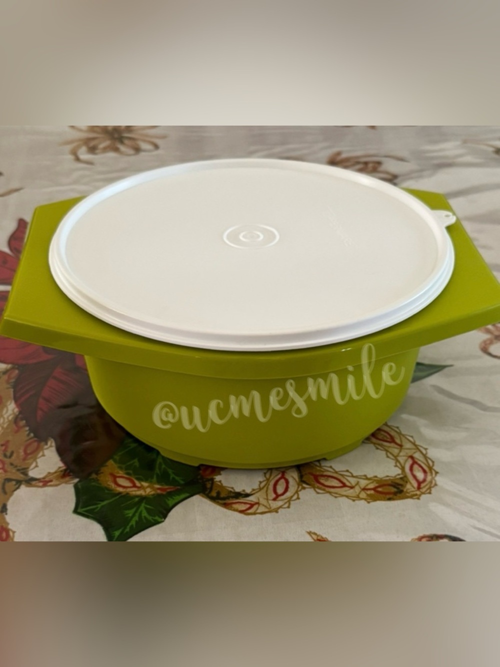 Tupperware Green Tortilla Keeper